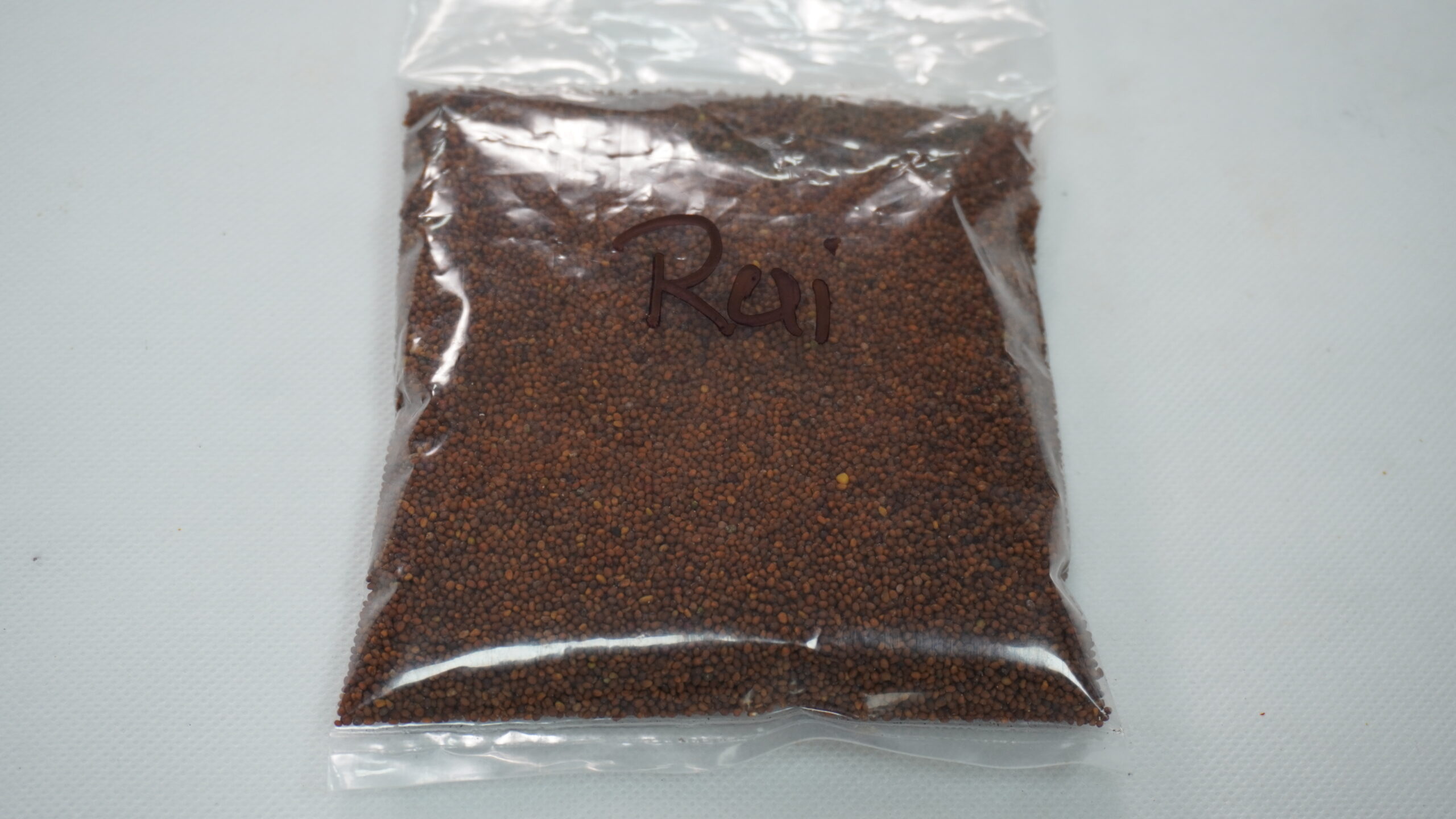 Rai