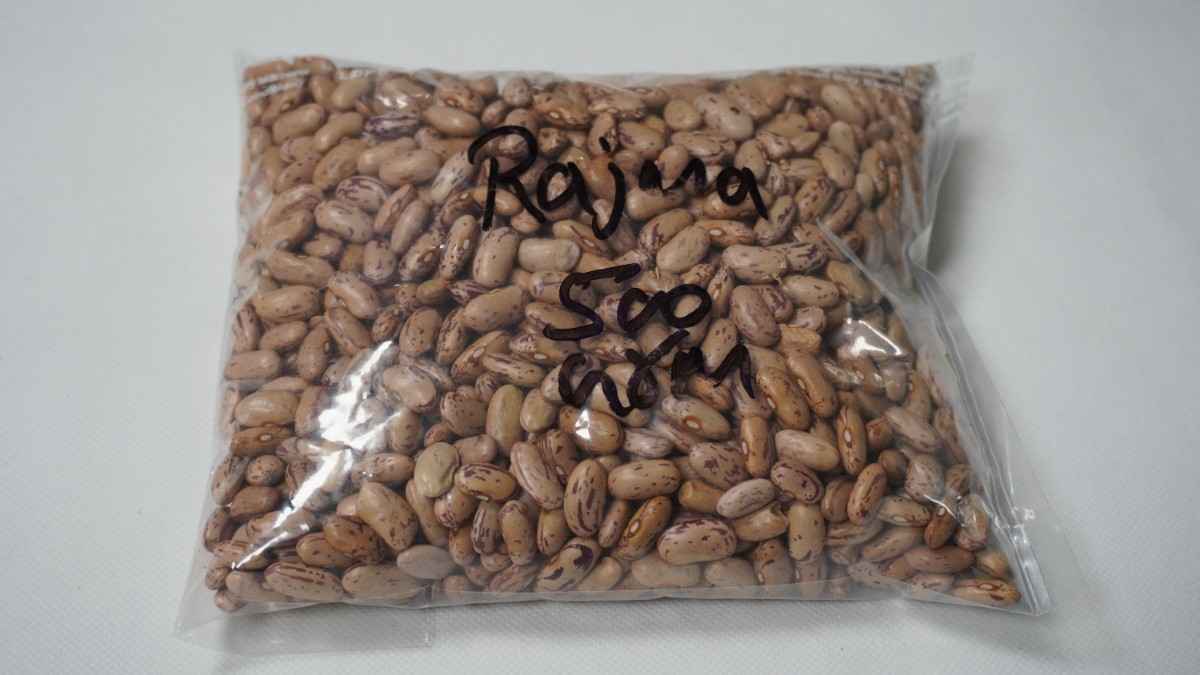 Rajma