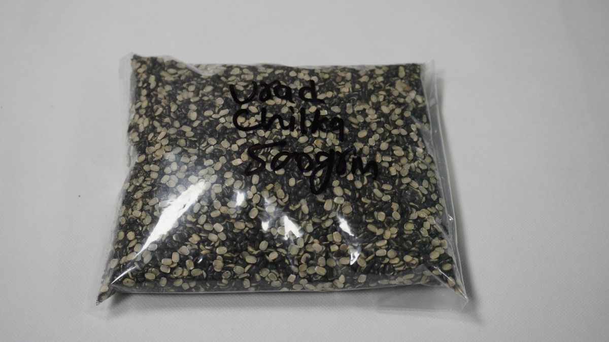 Urad Chhilka