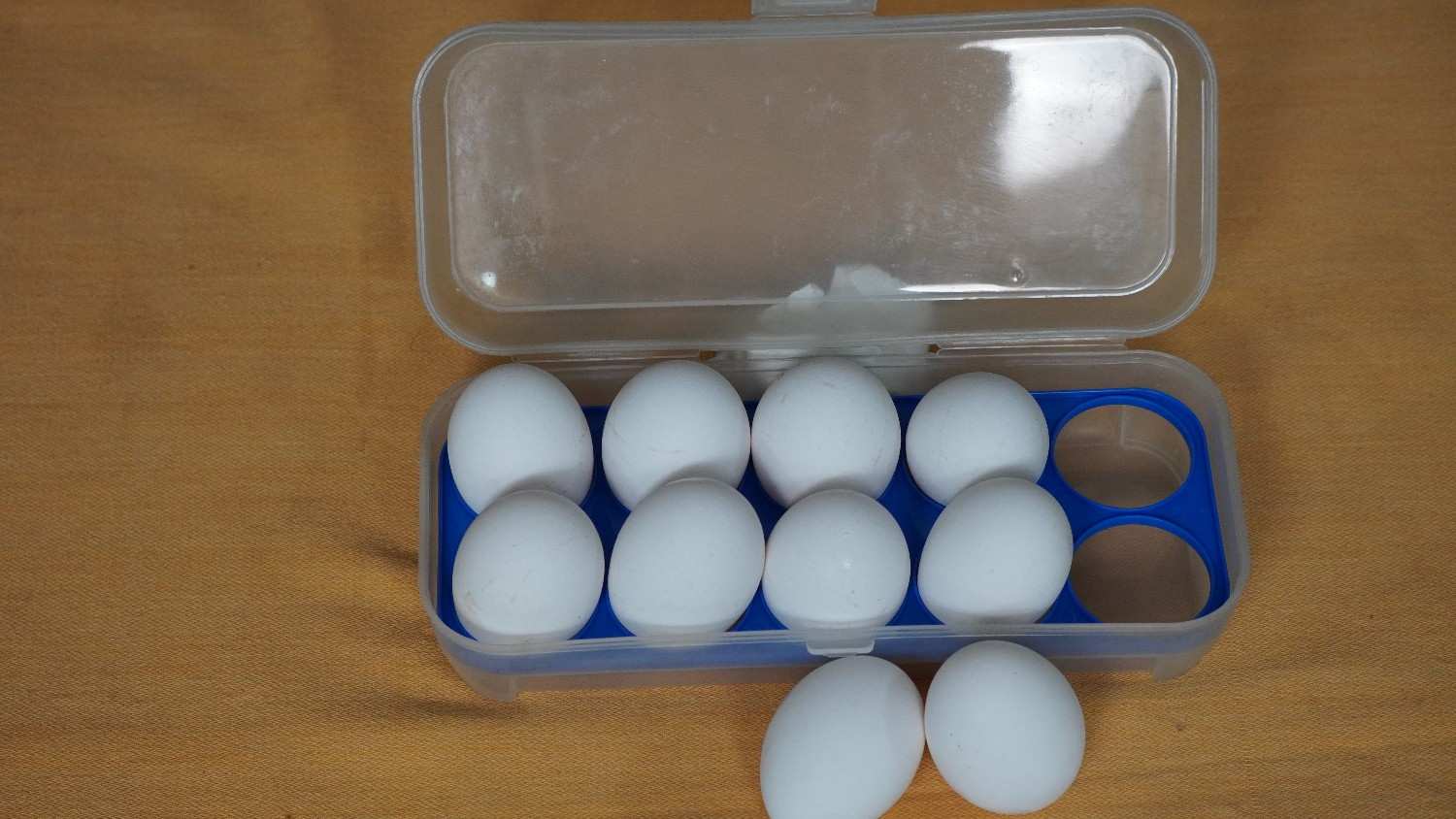 Egg