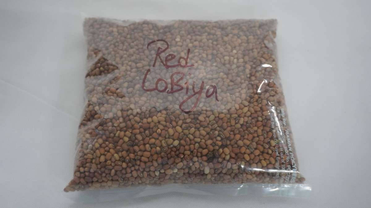 Red Lobiya